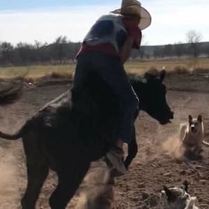 Meet your Posher, Ever